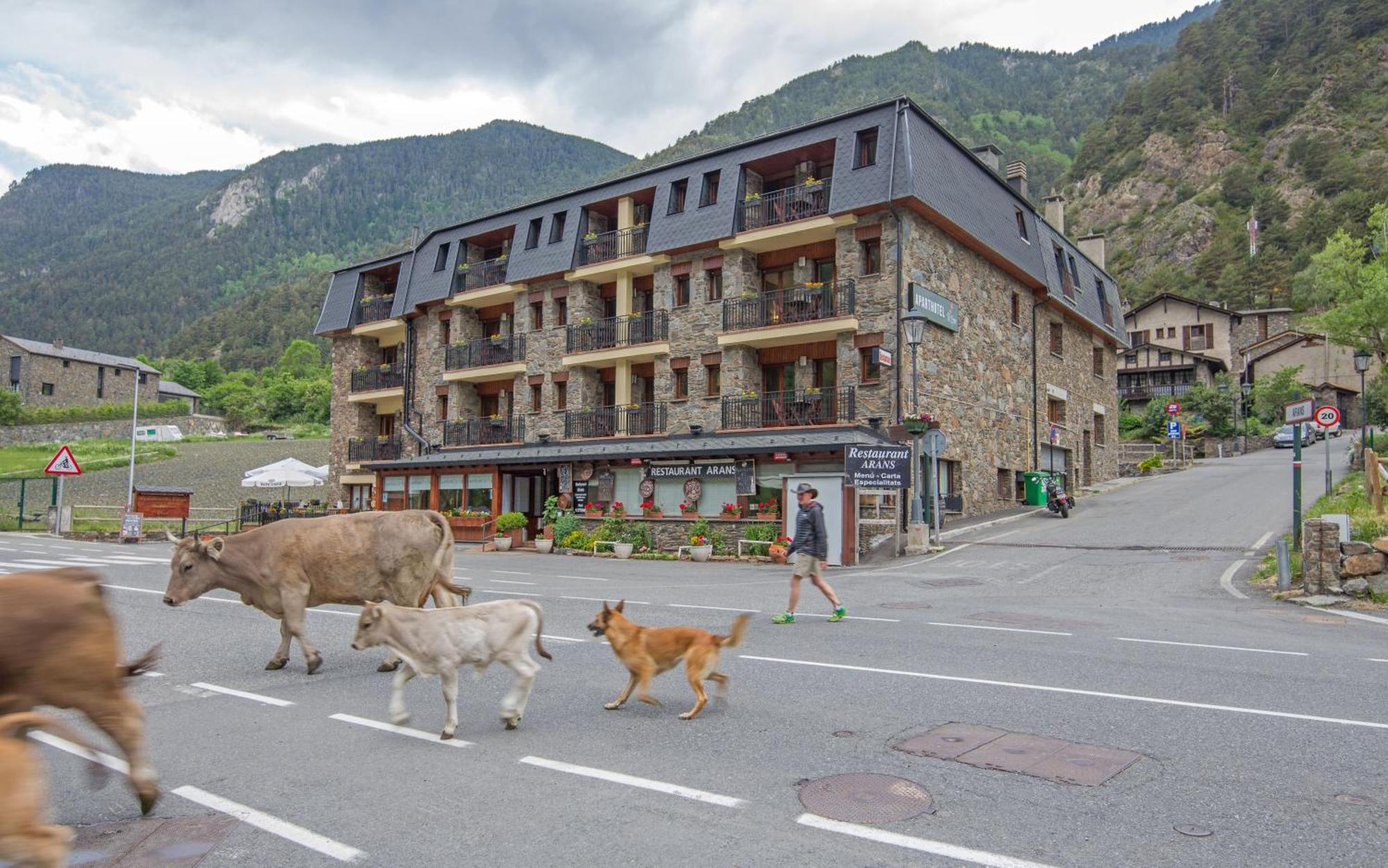 Pierre & Vacances Aparthotel La Tulipa 오르디노 외부 사진